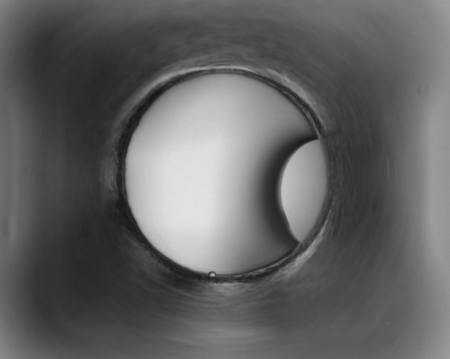 X0000089361502200706150813