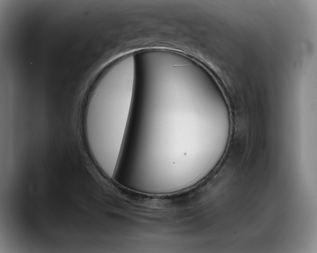 X0000089361503200706150813