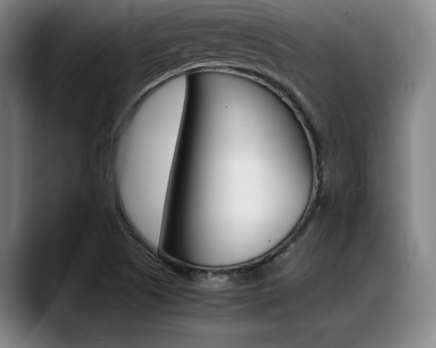 X0000089361505200706150813