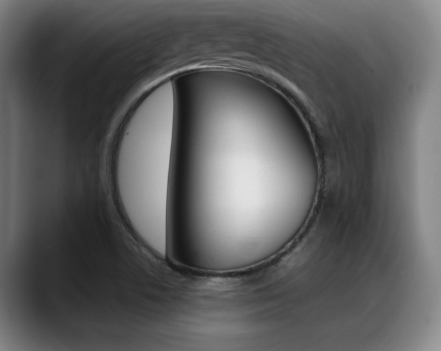 X0000089361506200706150813