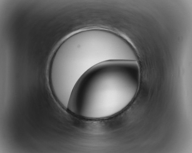 X0000089361508200706150813