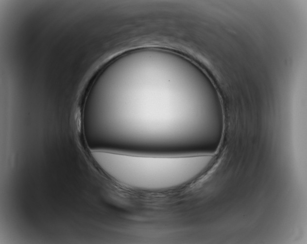 X0000089361509200706150813