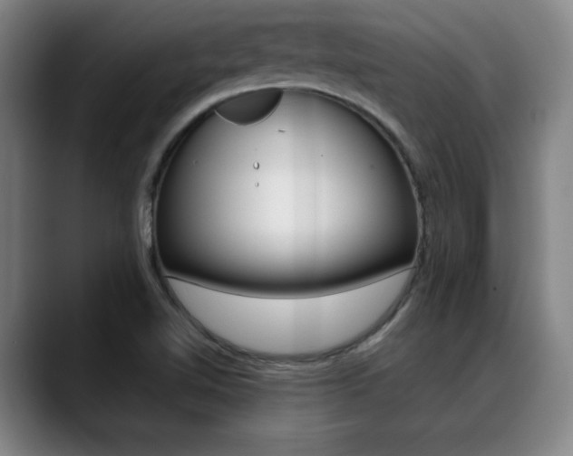 X0000089361510200706150813