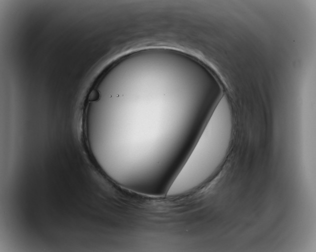 X0000089361511200706150813