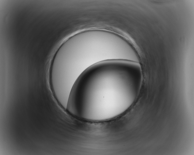 X0000089361512200706150813