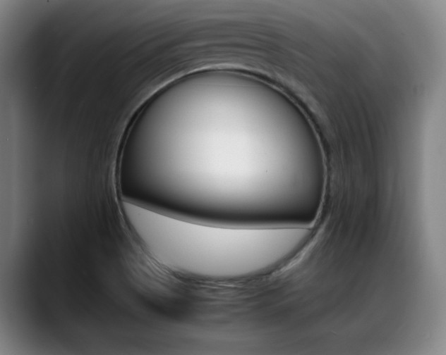 X0000089361513200706150813