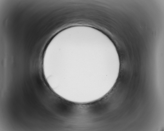 X0000089361514200706150813