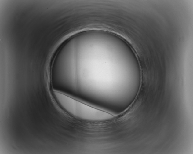X0000089361515200706150813