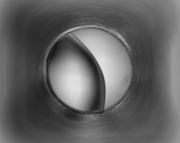 X0000089361516200706150813