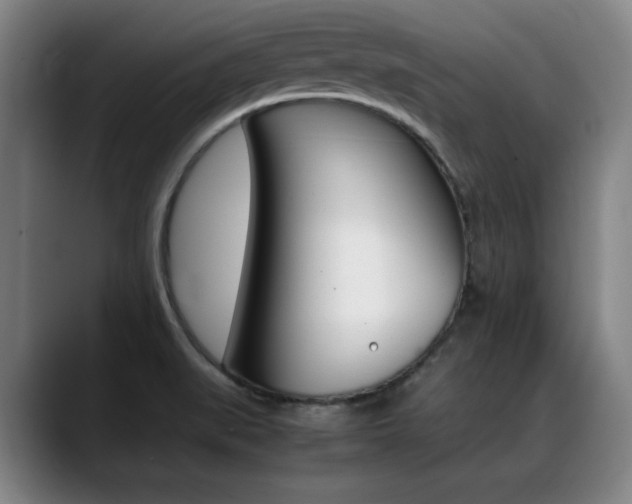 X0000089361519200706150813