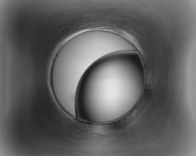 X0000089361520200706150813