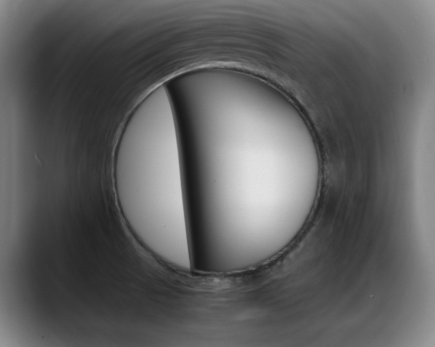 X0000089361521200706150813