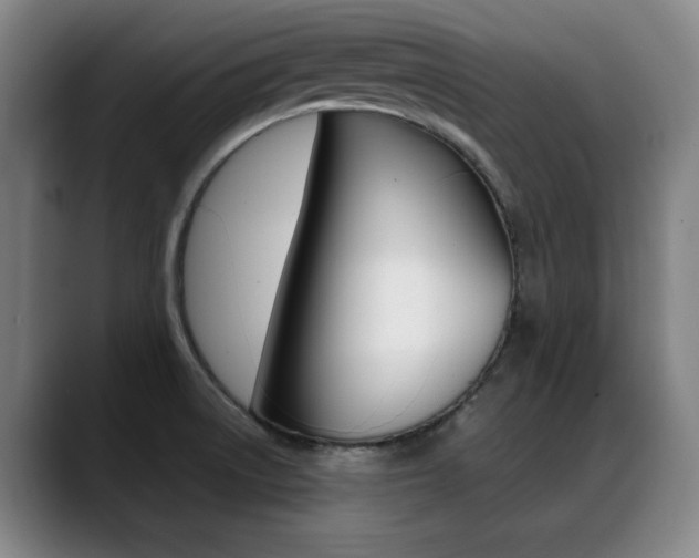 X0000089361522200706150813