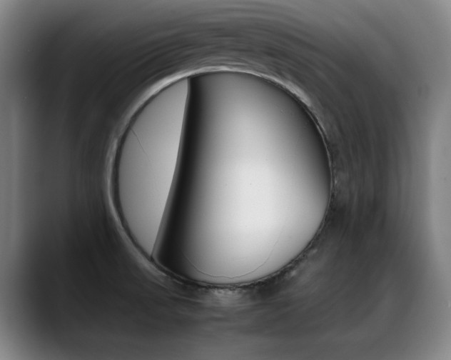 X0000089361523200706150813