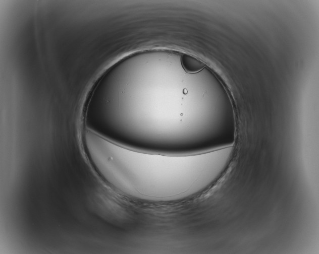 X0000089361525200706150813