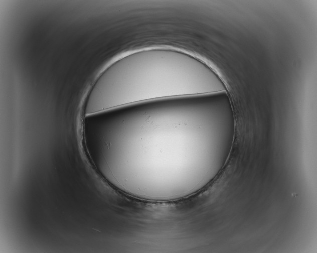 X0000089361526200706150813