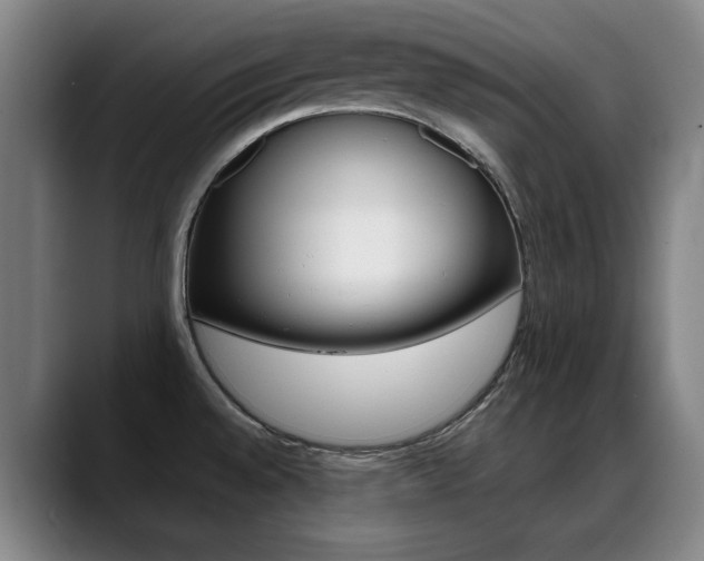 X0000089361528200706150813