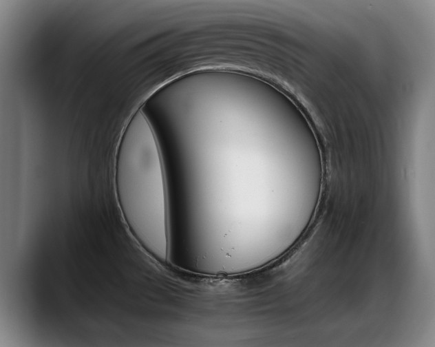 X0000089361529200706150813
