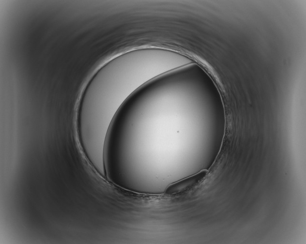 X0000089361530200706150813