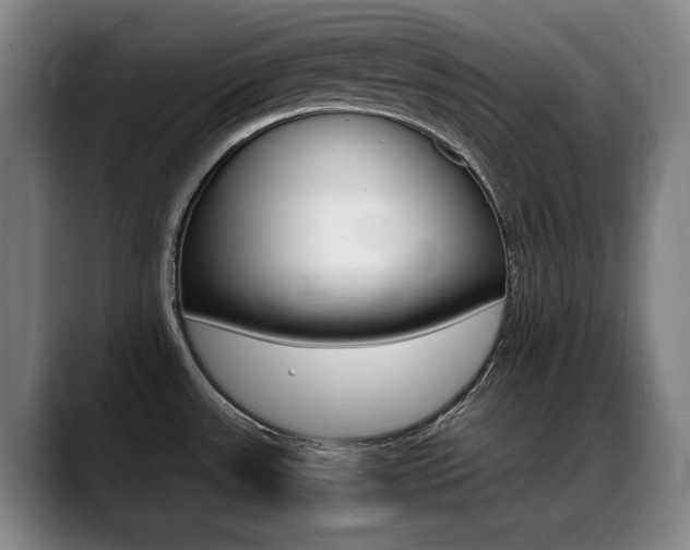 X0000089361531200706150813