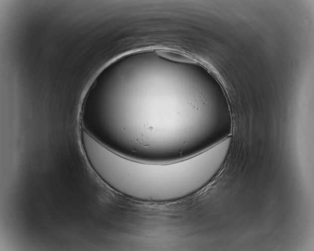 X0000089361532200706150813