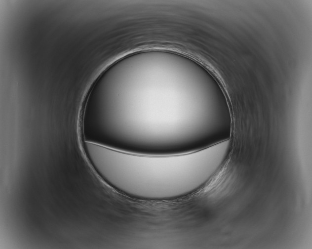 X0000089361533200706150813