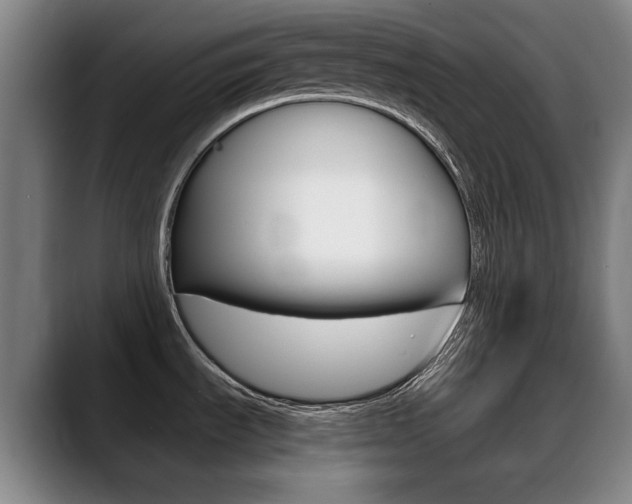 X0000089361535200706150813