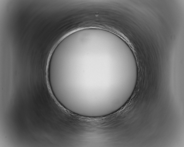 X0000089361536200706150813