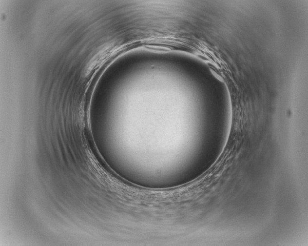 X0000089360002200706151145