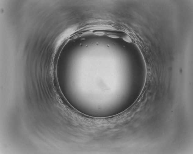 X0000089360006200706151145