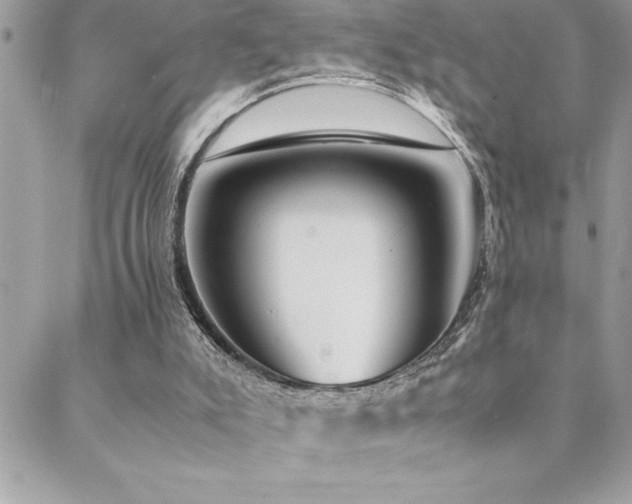 X0000089360007200706151145