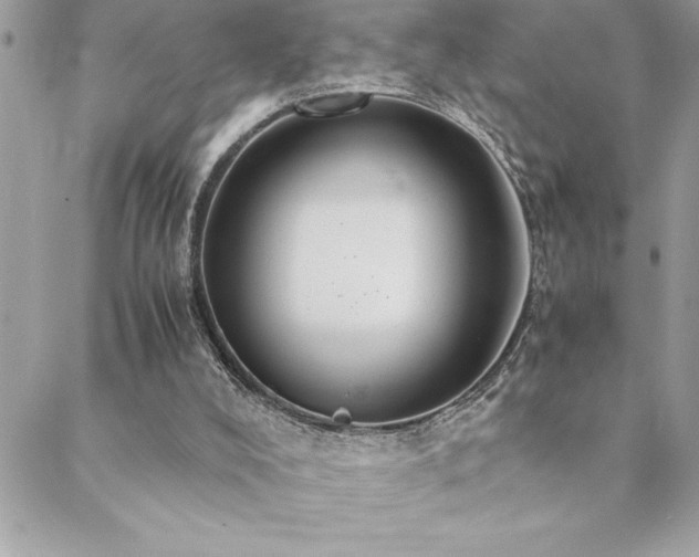 X0000089360008200706151145