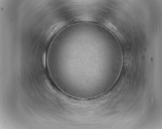 X0000089360014200706151145