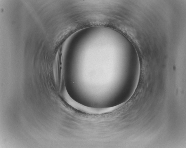 X0000089360017200706151145