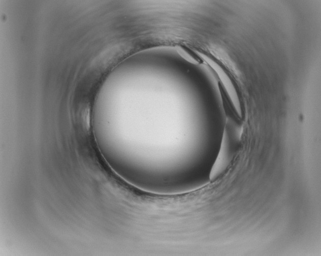 X0000089360021200706151145