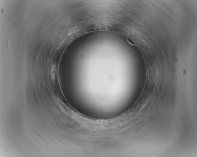 X0000089360038200706151145
