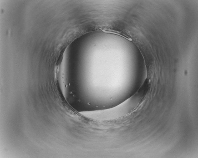 X0000089360041200706151145
