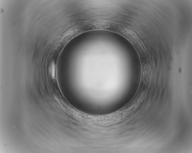 X0000089360046200706151144