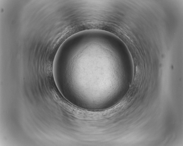 X0000089360048200706151144