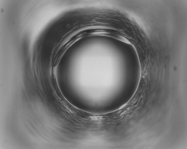 X0000089360052200706151144