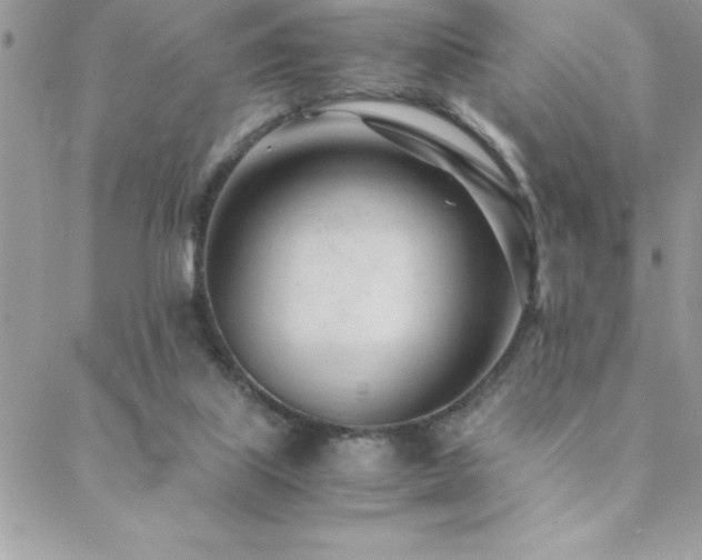 X0000089360067200706151144