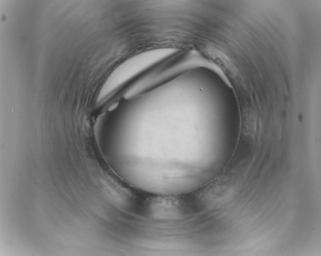 X0000089360077200706151144