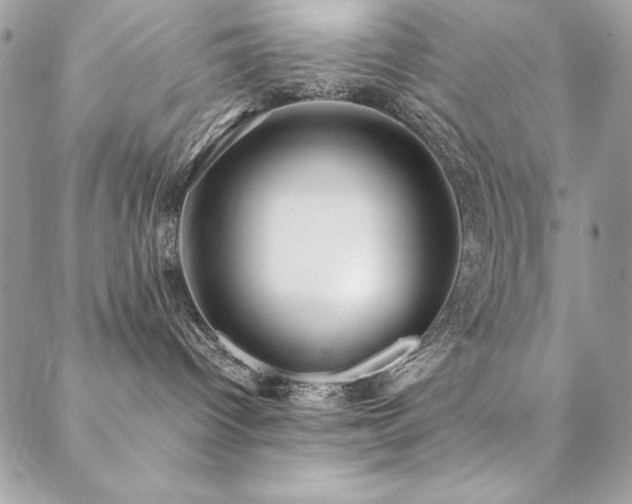 X0000089360096200706151144