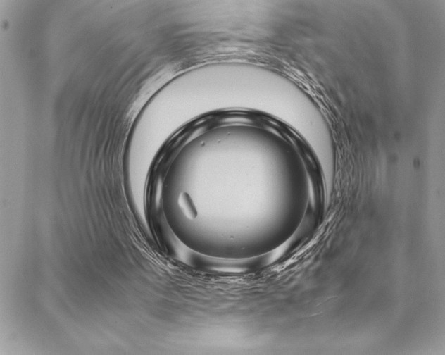 X0000089360099200706151144