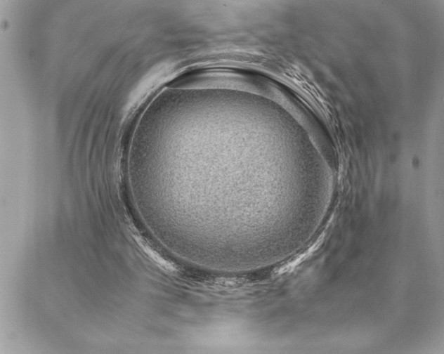 X0000089360101200706151144