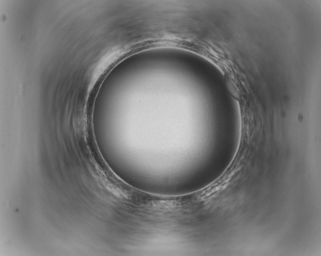 X0000089360102200706151144