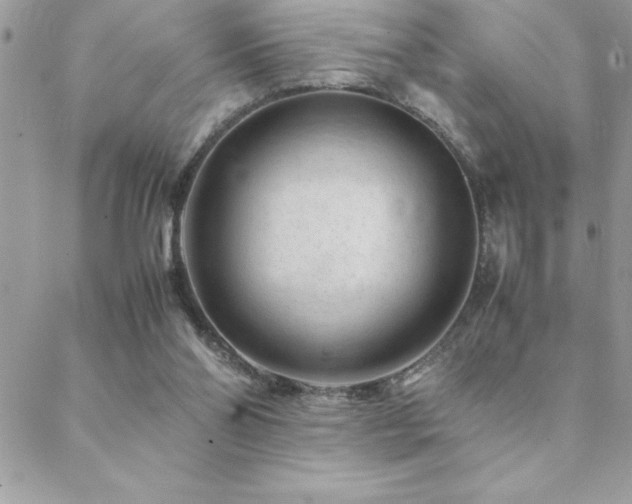 X0000089360110200706151143