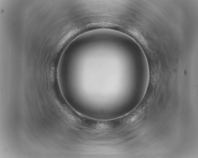 X0000089360111200706151143