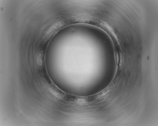 X0000089360114200706151143