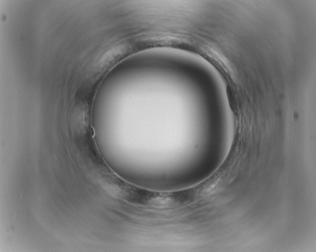 X0000089360119200706151143